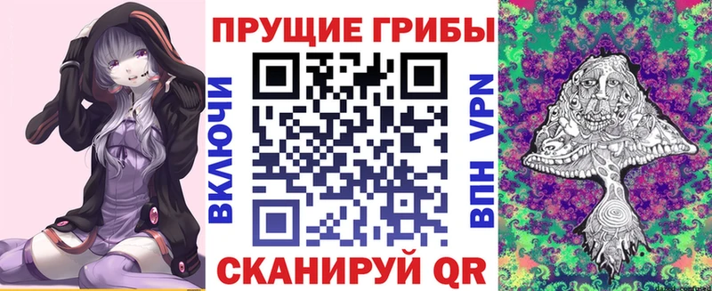 Псилоцибиновые грибы Psilocybine cubensis  Оренбург 